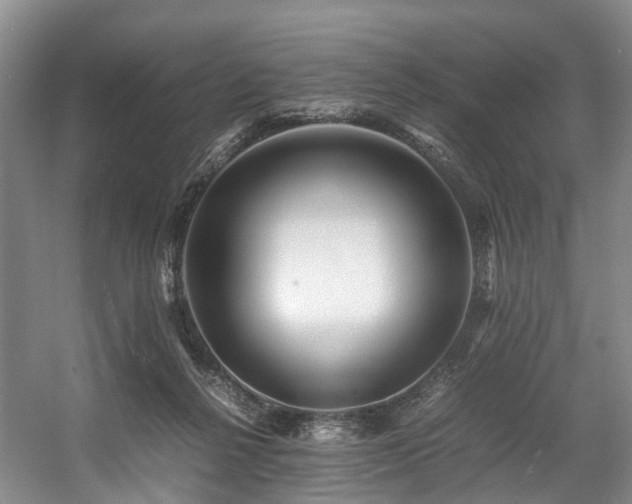 X0000057560264200509161011