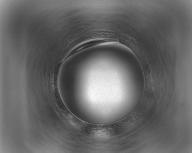 X0000057560267200509161011