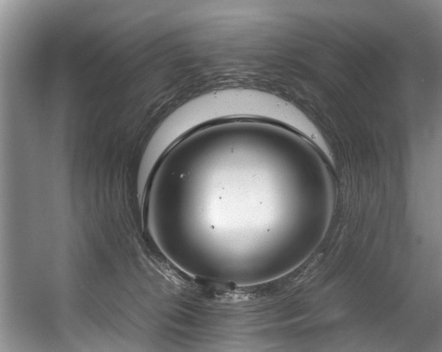 X0000057560276200509161011