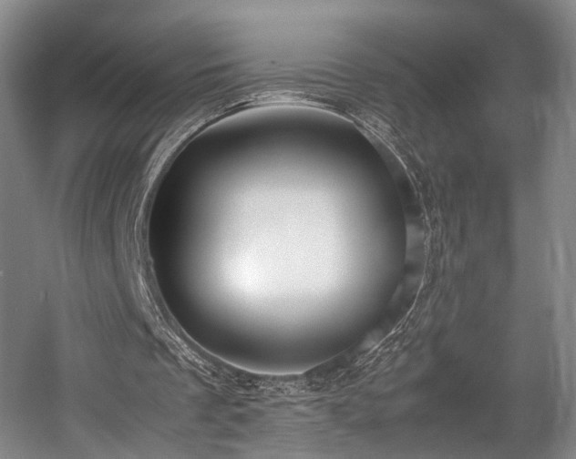 X0000057560289200509161010