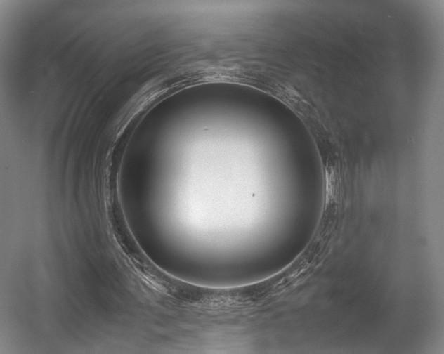 X0000057560291200509161010