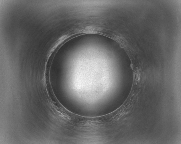 X0000057560292200509161010