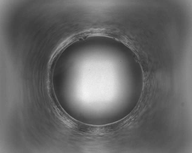 X0000057560293200509161010