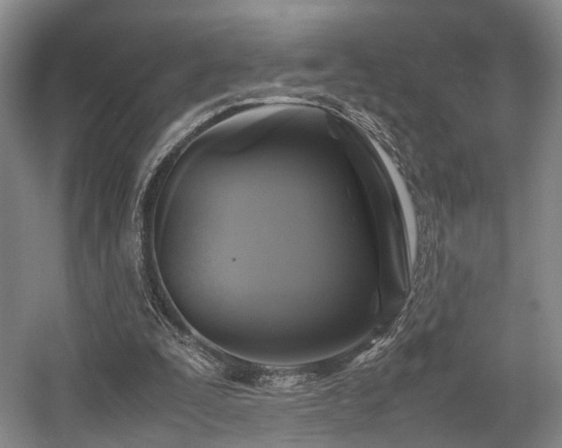 X0000057560295200509161010