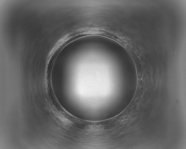 X0000057560296200509161010