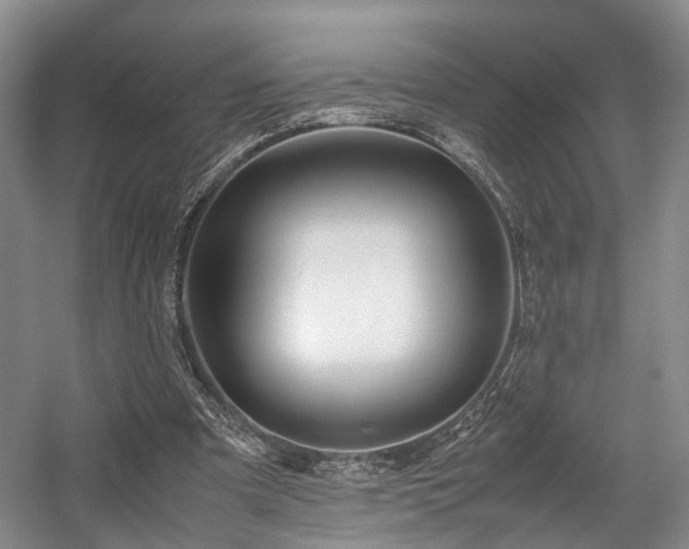 X0000057560297200509161010