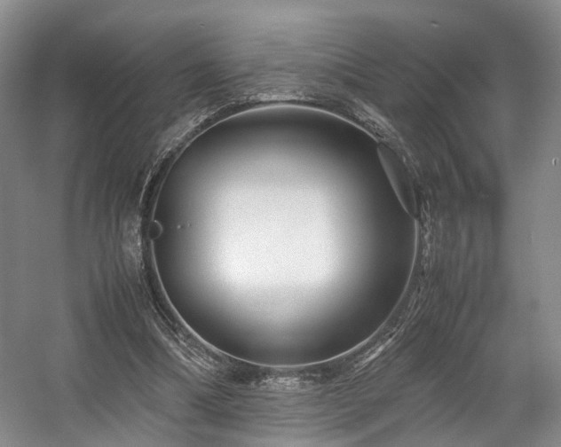 X0000057560298200509161010