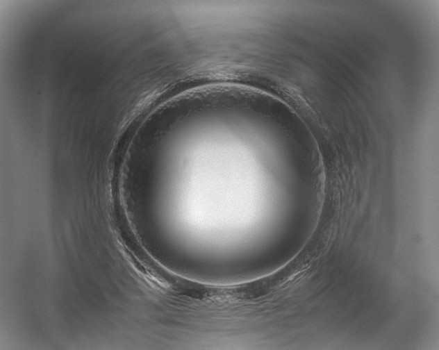 X0000057560299200509161010