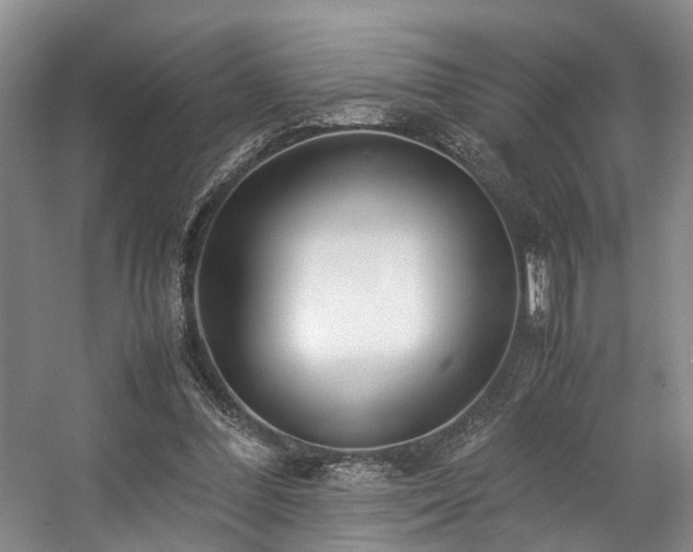 X0000057560300200509161010