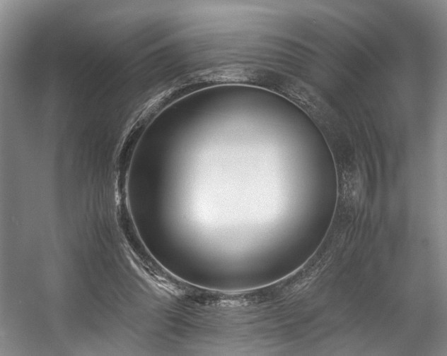 X0000057560302200509161010