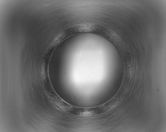 X0000057560312200509161010