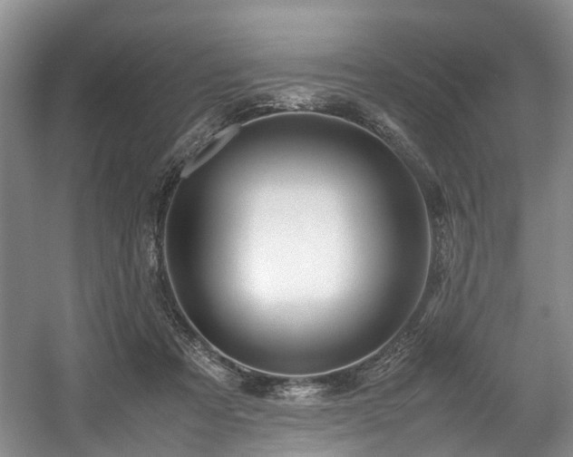 X0000057560313200509161010