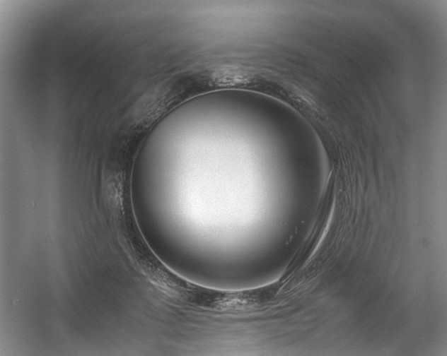 X0000057560315200509161010