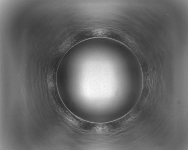X0000057560317200509161010