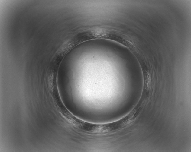 X0000057560319200509161010