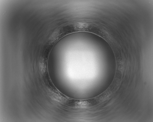 X0000057560324200509161010