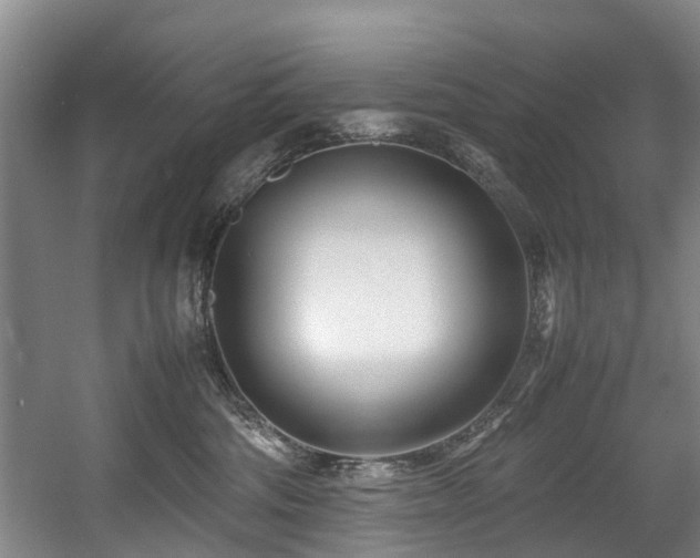 X0000057560330200509161010
