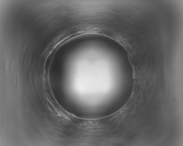 X0000057560338200509161009