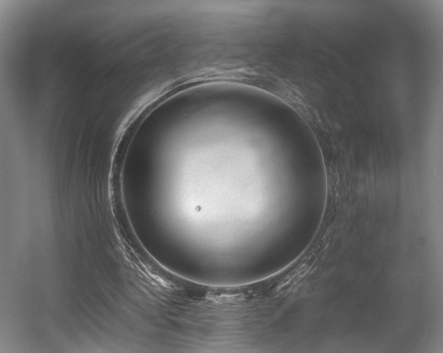 X0000057560340200509161009