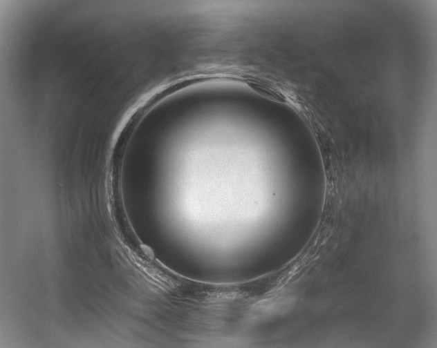 X0000057560342200509161009