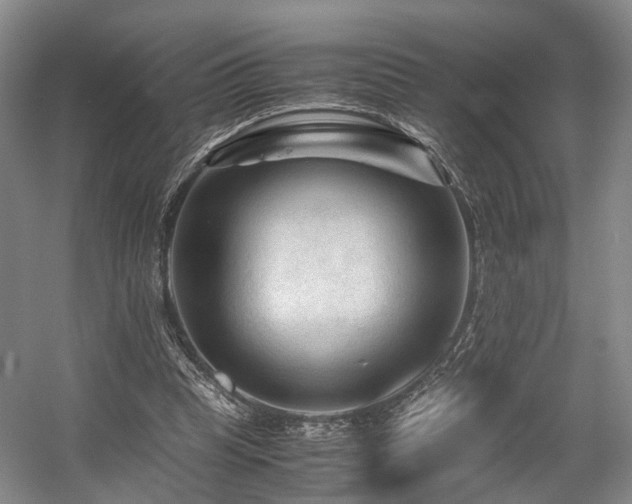 X0000057560345200509161009