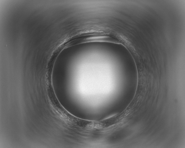 X0000057560354200509161009