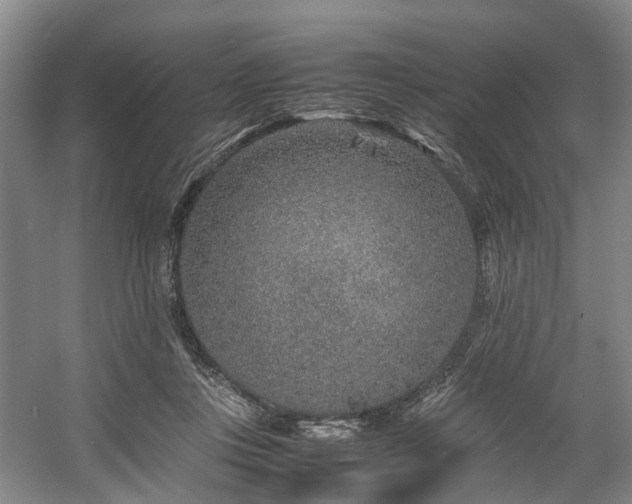 X0000057560359200509161009