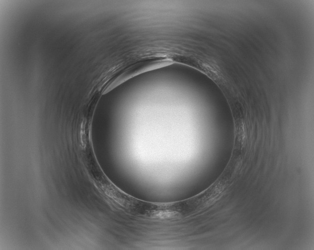 X0000057560360200509161009