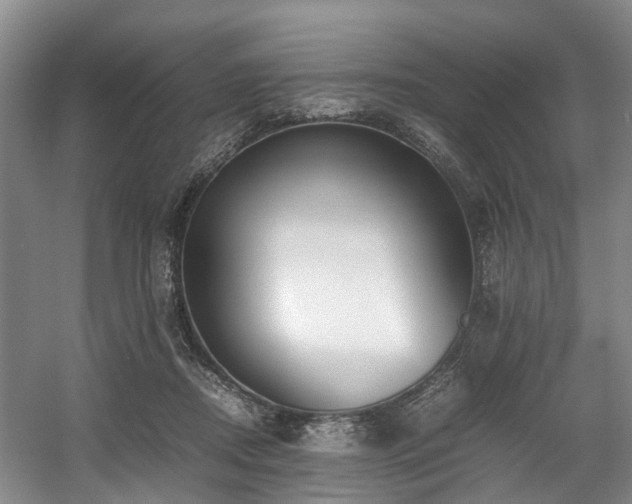 X0000057560362200509161009