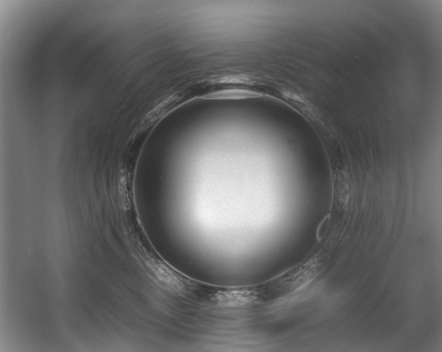 X0000057560378200509161009