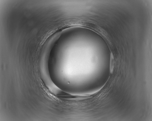 X0000057560385200509161009