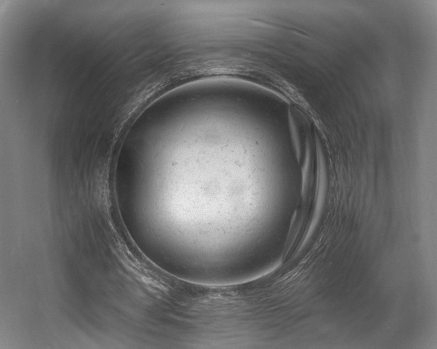 X0000057560386200509161009