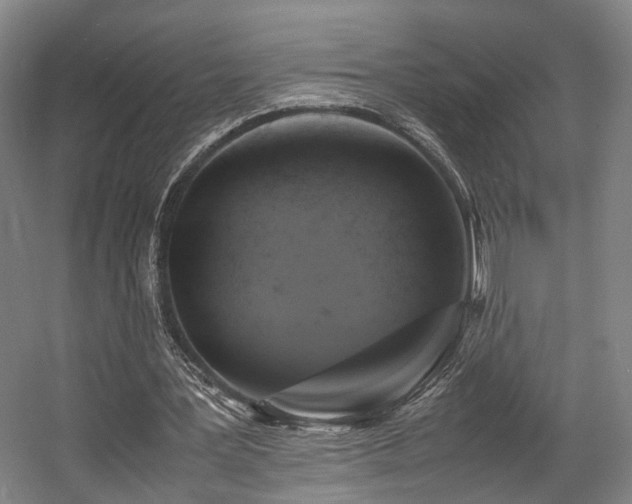 X0000057560387200509161009