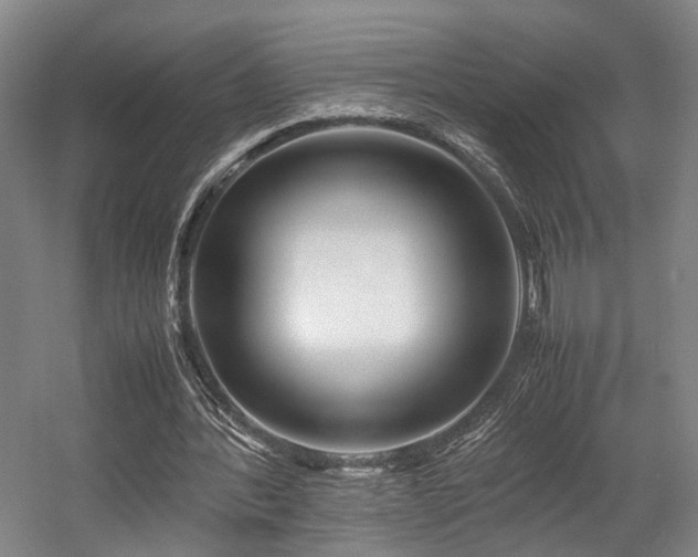 X0000057560388200509161009