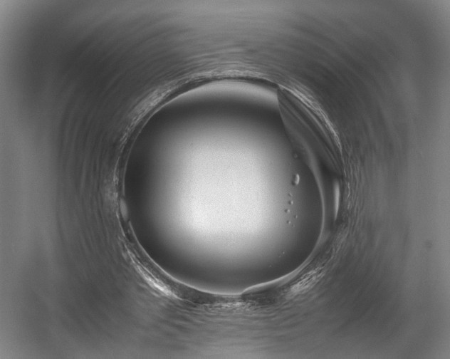 X0000057560389200509161009