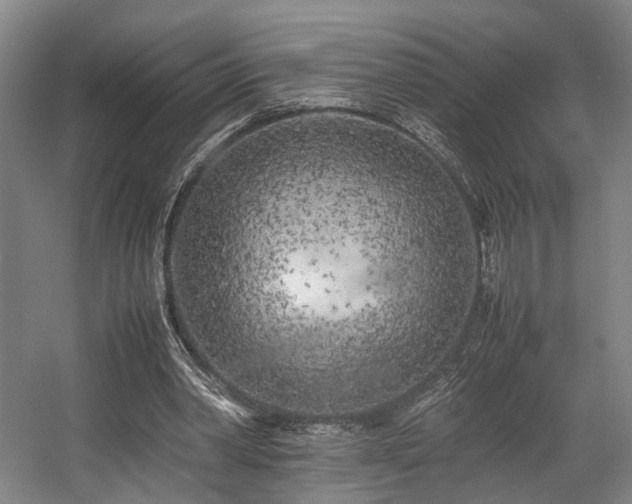 X0000057560390200509161009