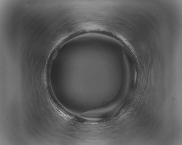 X0000057560391200509161009