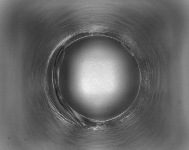 X0000057560392200509161009