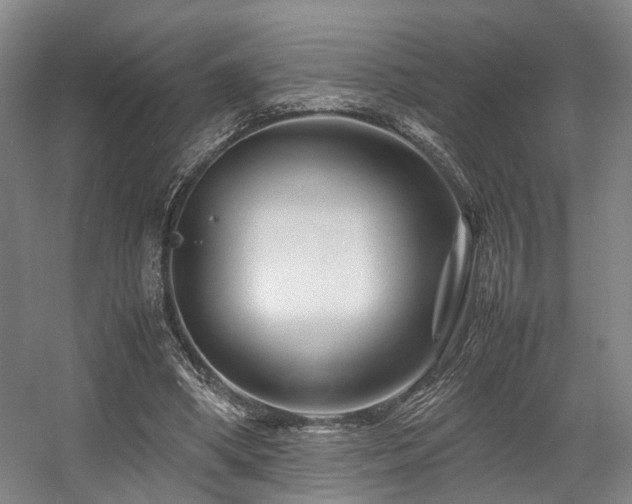 X0000057560394200509161009