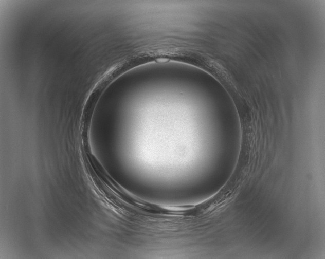 X0000057560395200509161009
