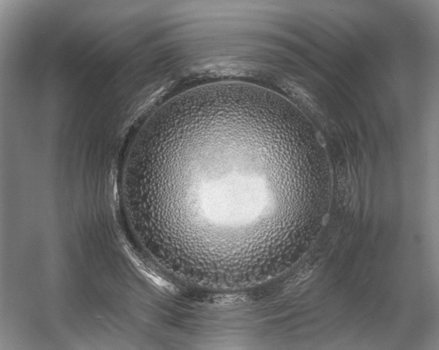 X0000057560398200509161009