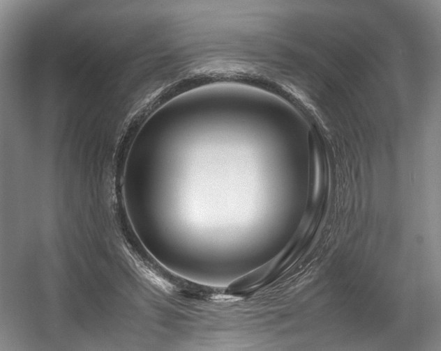 X0000057560399200509161008