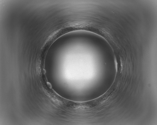 X0000057560400200509161008