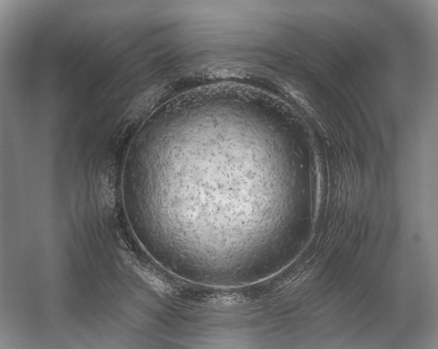 X0000057560402200509161008