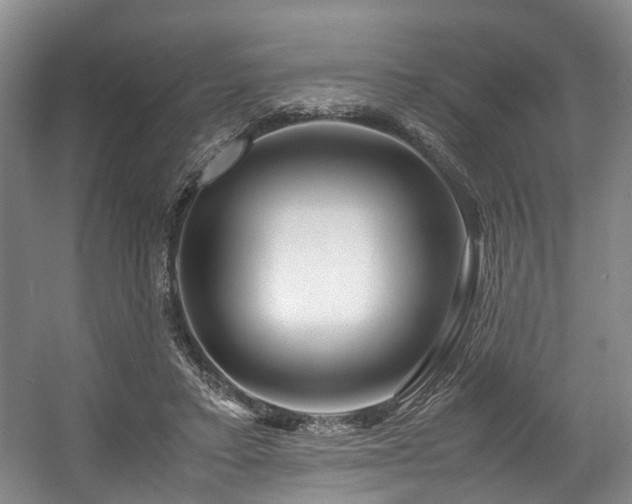 X0000057560403200509161008