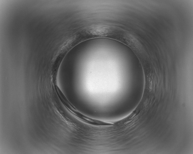 X0000057560404200509161008