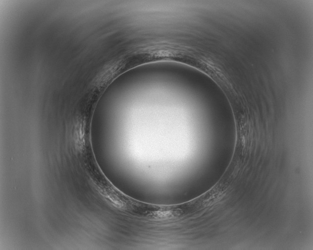 X0000057560406200509161008