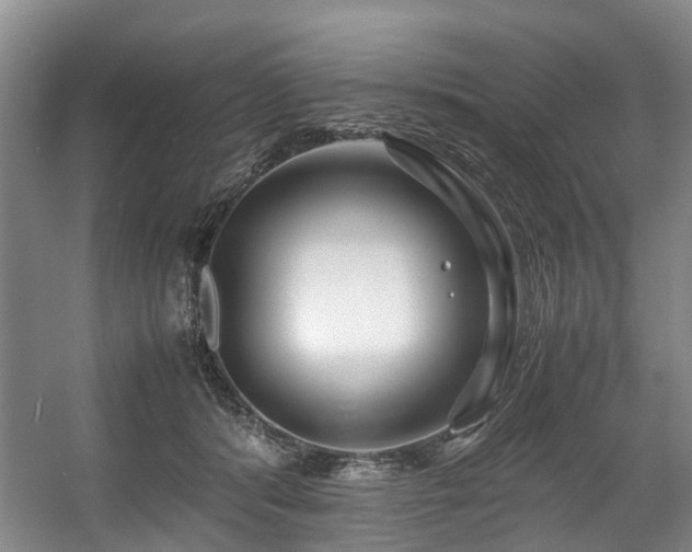 X0000057560416200509161008