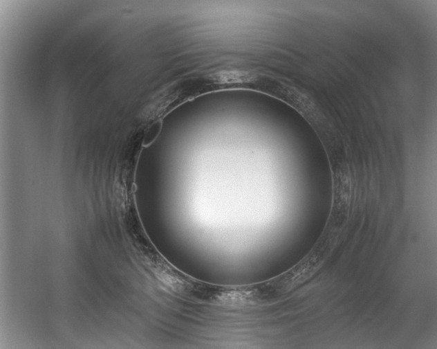 X0000057560422200509161008