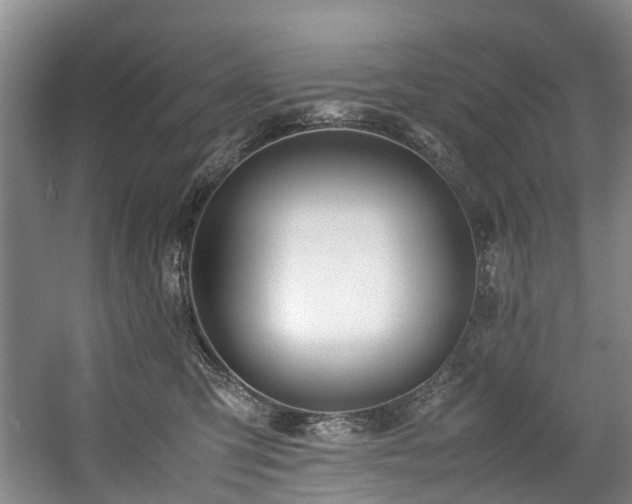 X0000057560423200509161008